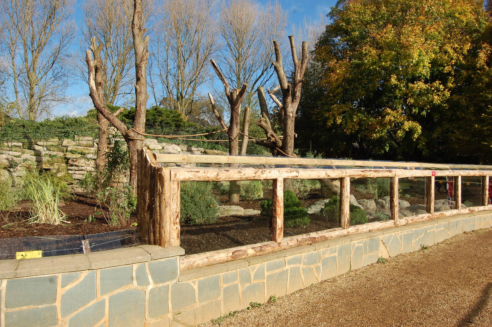 Coati and Bush Dog Exhibit