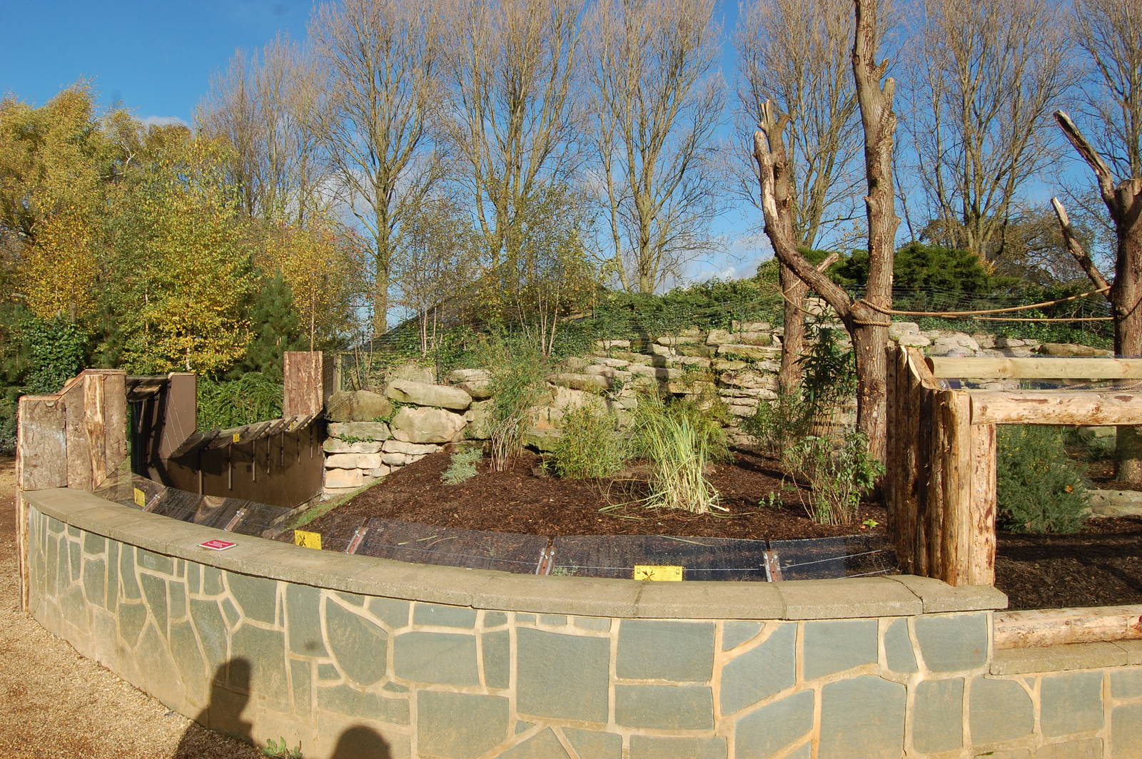 Coati and Bush Dog Exhibit
