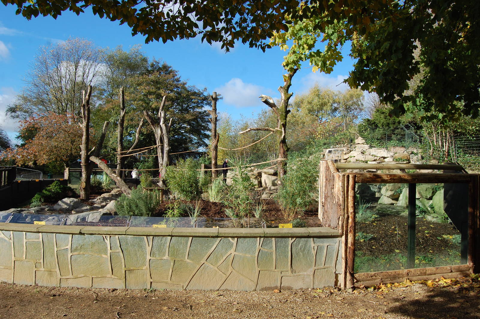 Coati and Bush Dog Exhibit