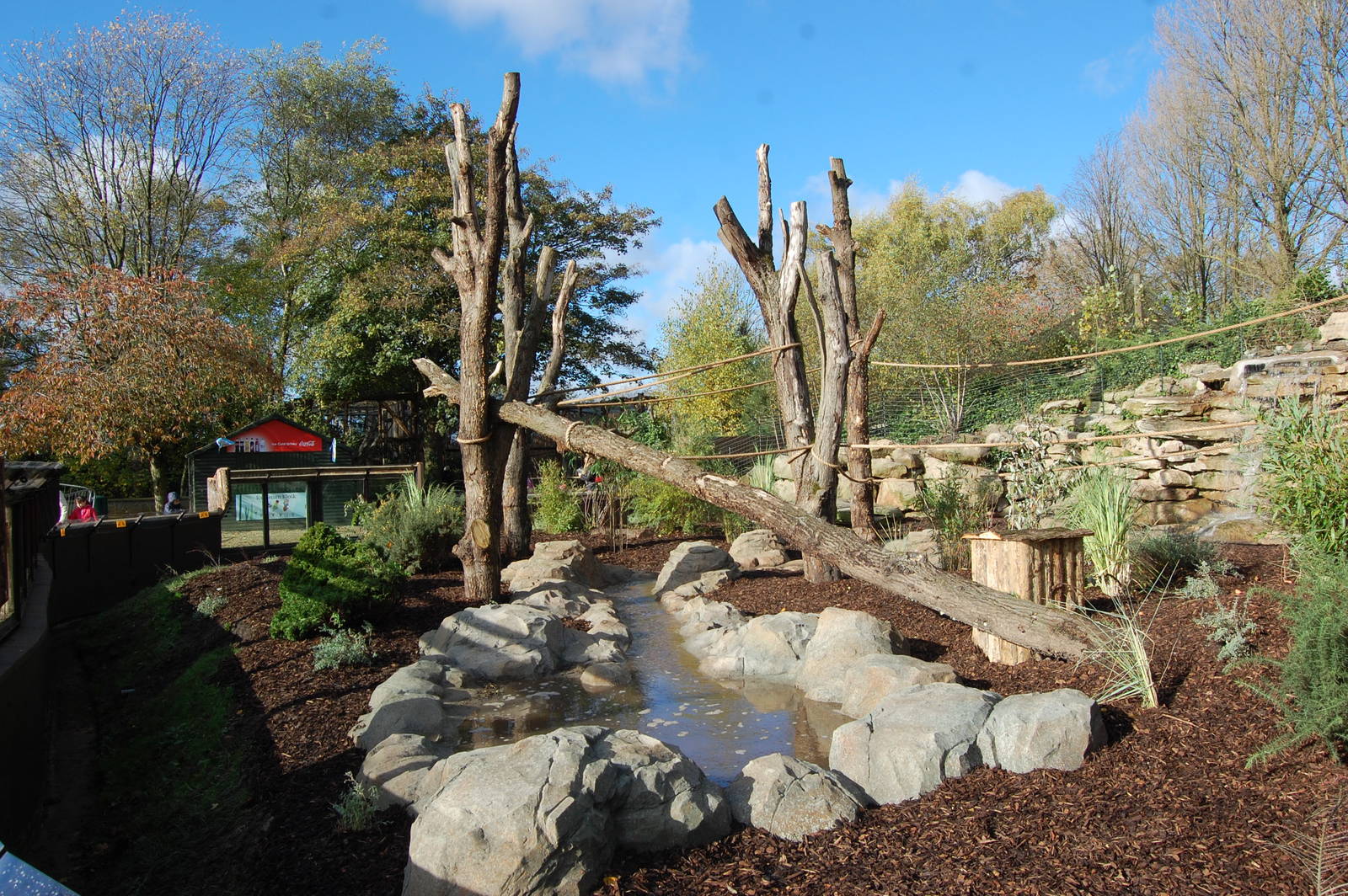 Coati and Bush Dog Exhibit