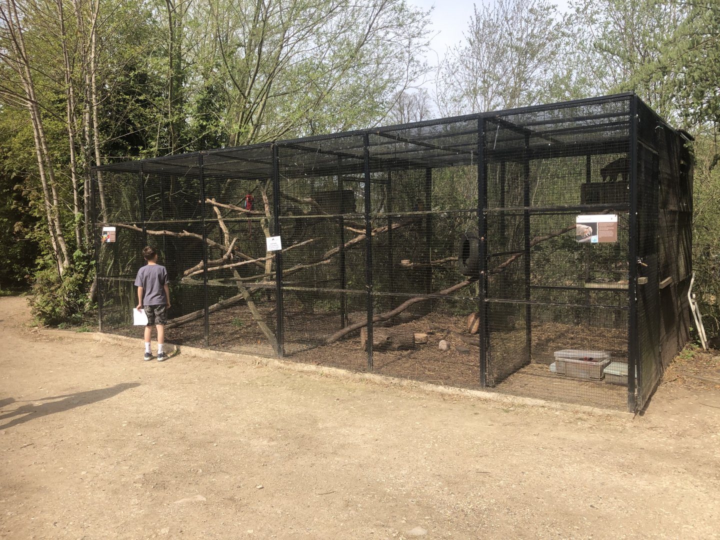 Coati and Macaw Cage