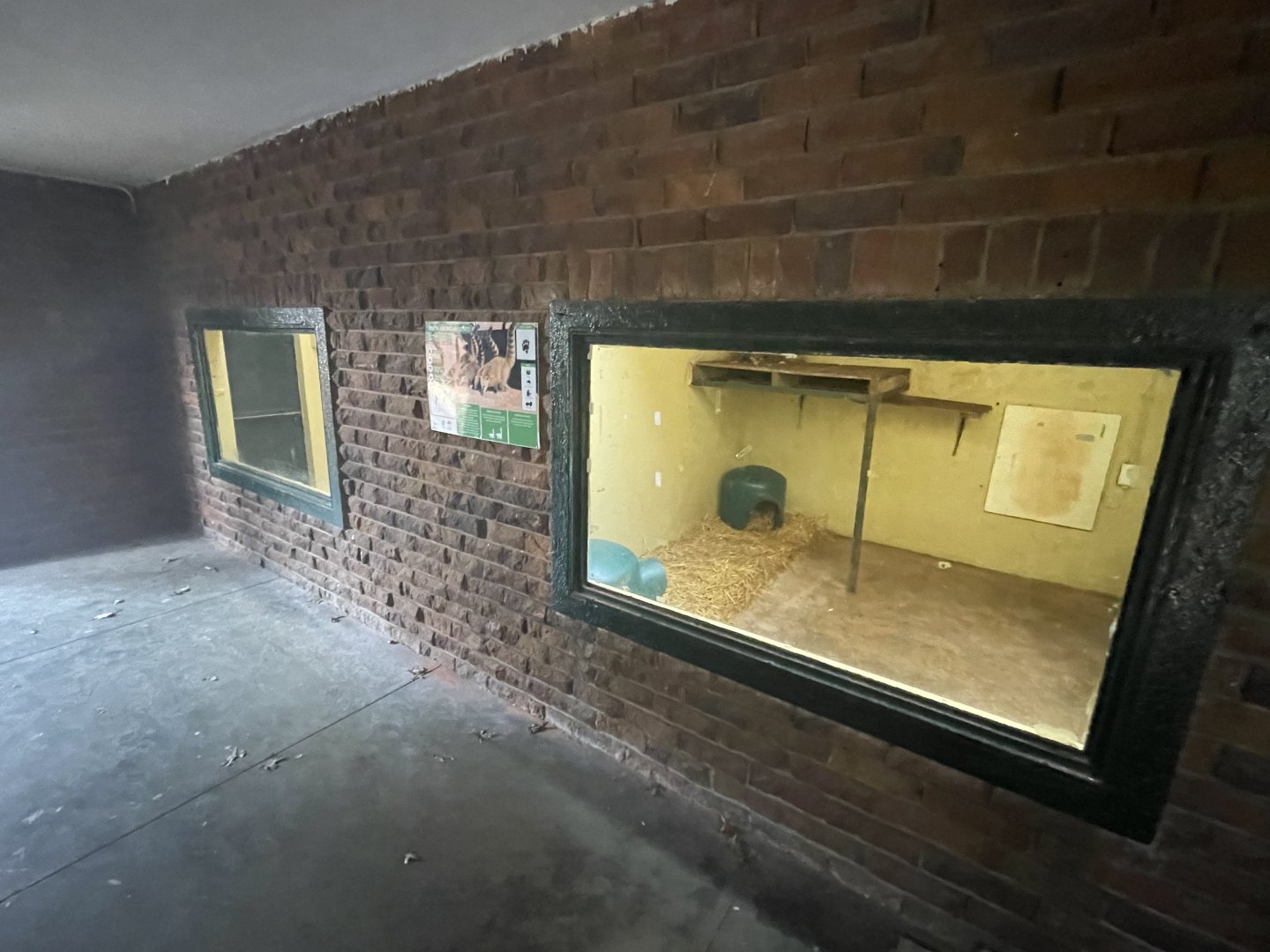 Coati and Mona Monkey Indoor Enclosures (Nasua nasua, Cercopithecus mona)