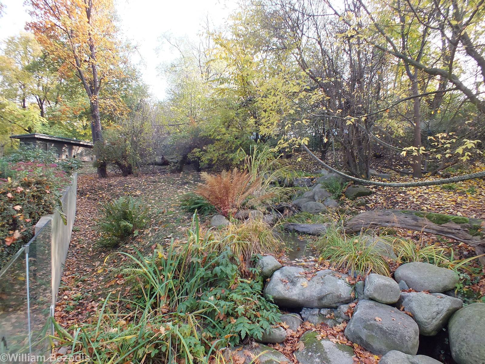Coati and Patagonian Mara Enclosure