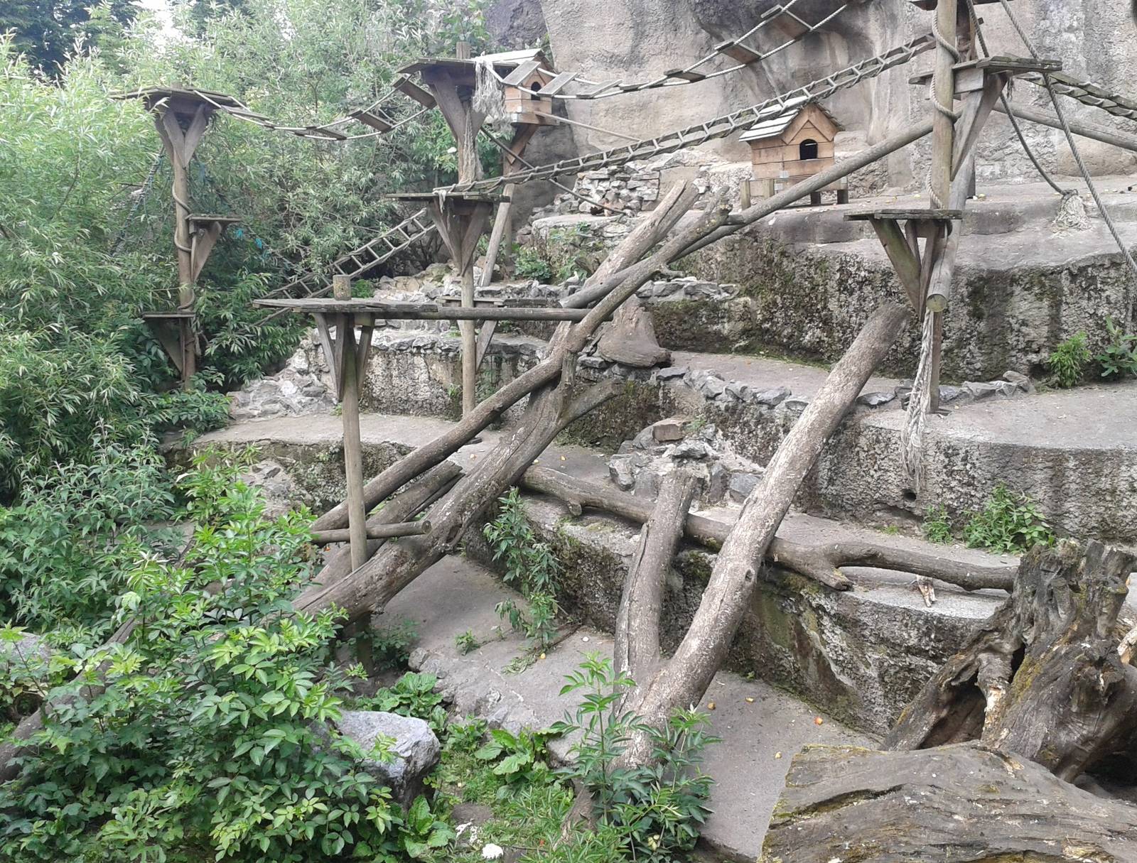 Coati and Raccoon enclosure