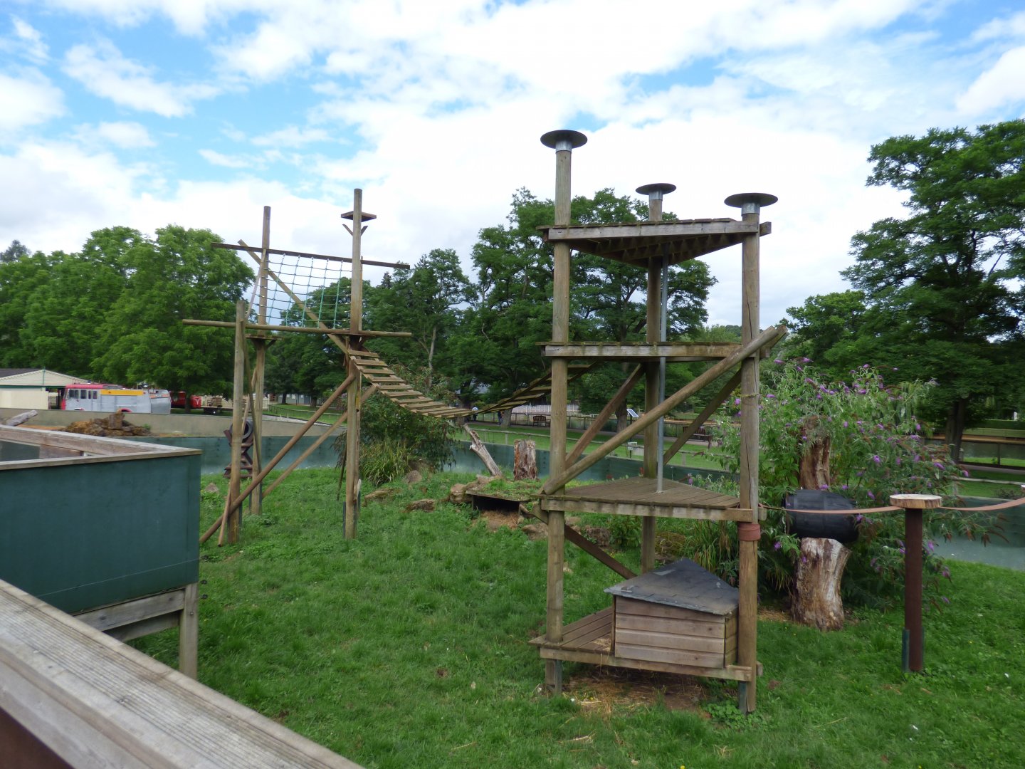 Coati and Racoon Enclosure