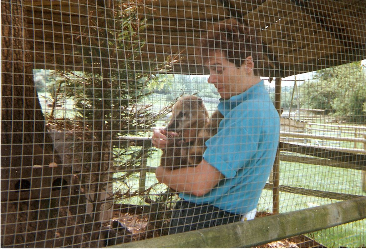 Coati at Sleepy Hollow Farm Park, 25 May 1999