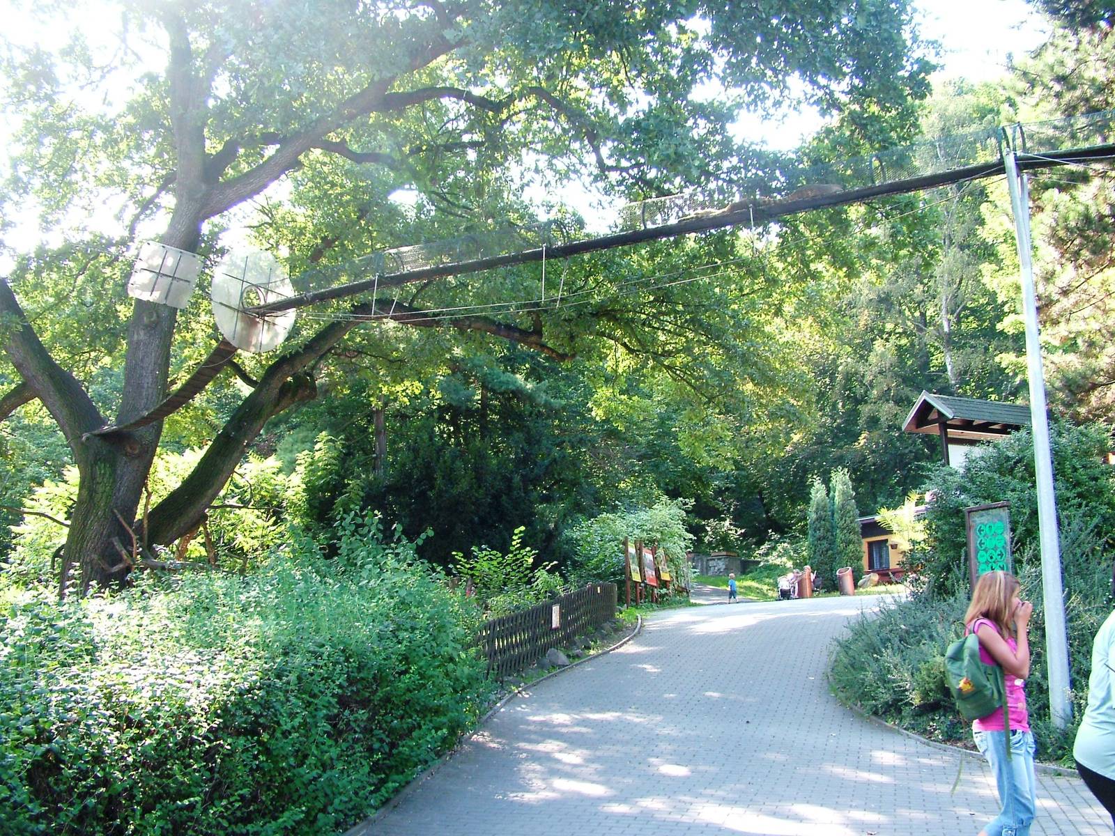 Coati Bridge at Usti, 29/08/12