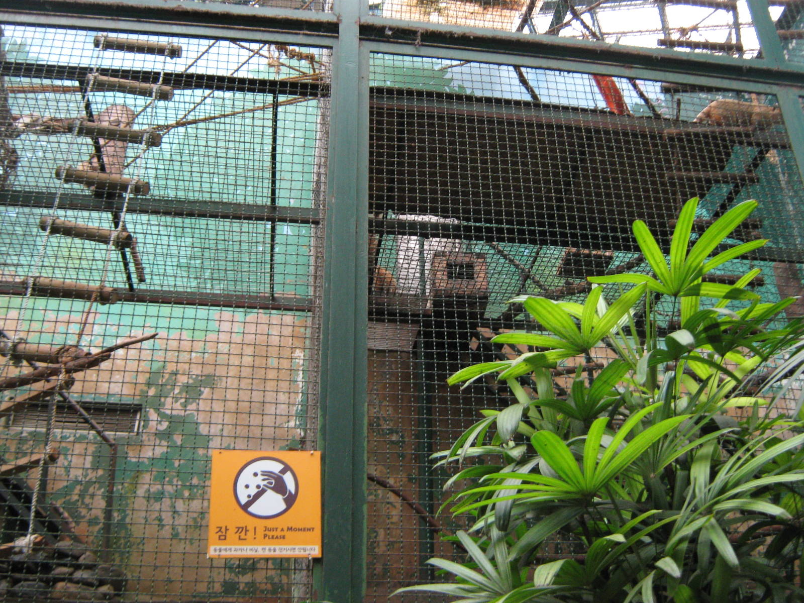 coati cage