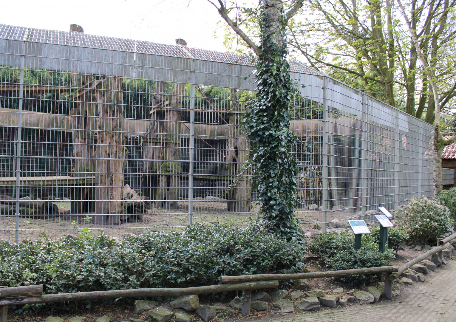 Coati - Capuchin monkey - enclosure