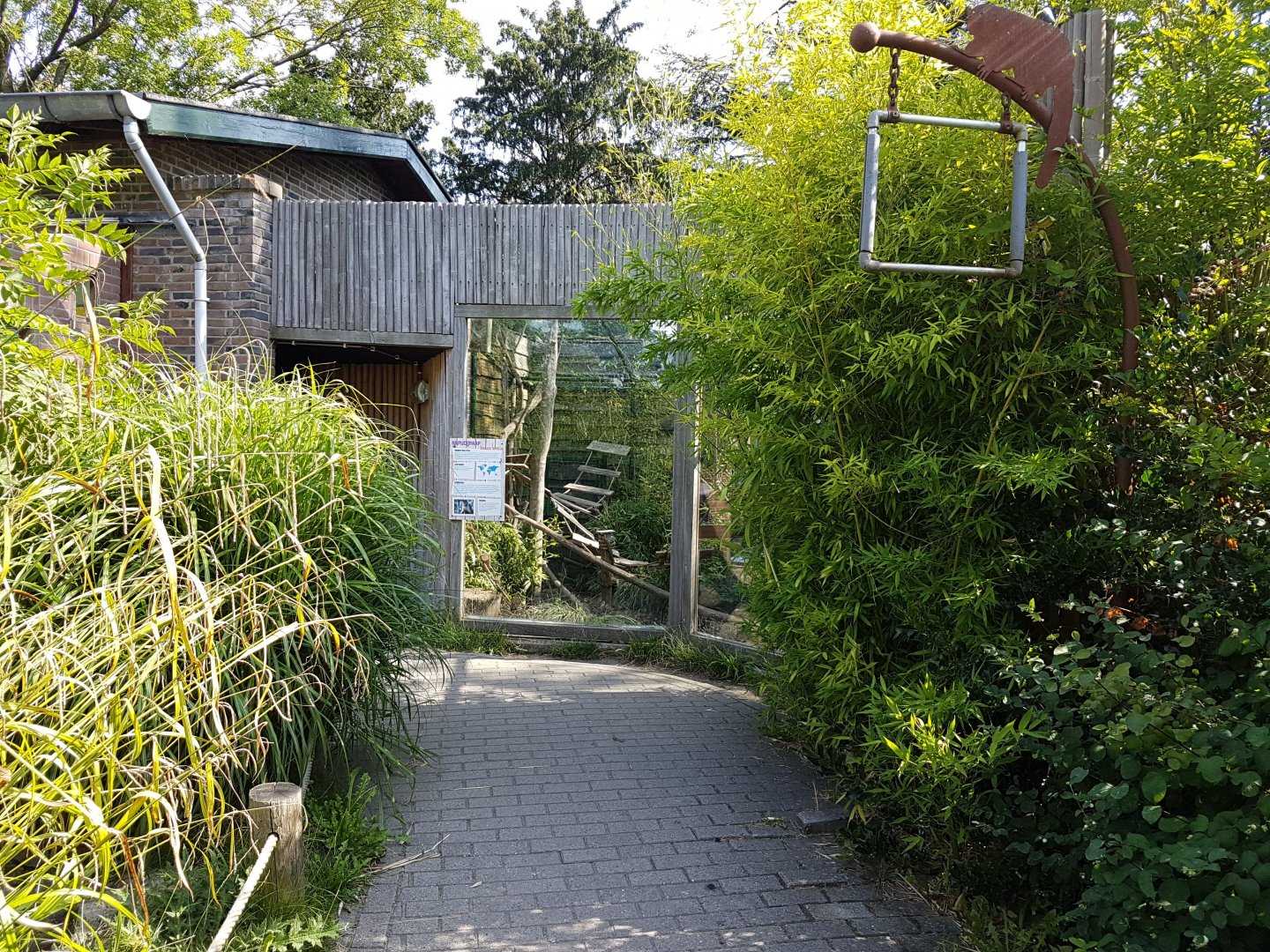 Coati - Capucine-monkey enclosure