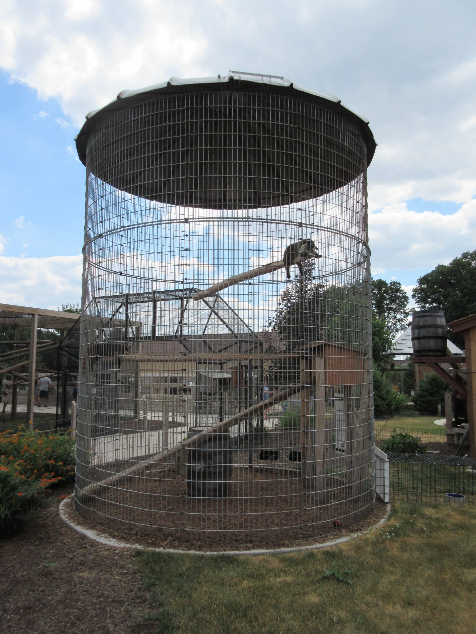 Coati Corn Crib Cage (Crap!)
