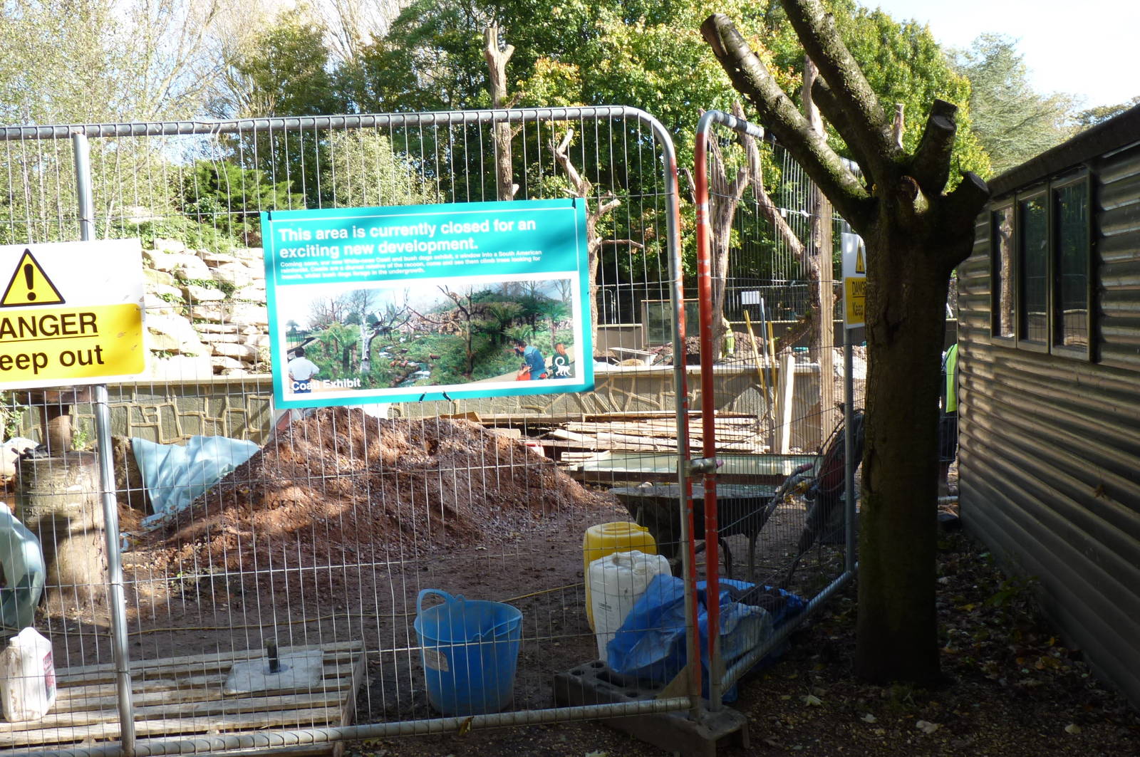 Coati enclosure, 17 October 2012