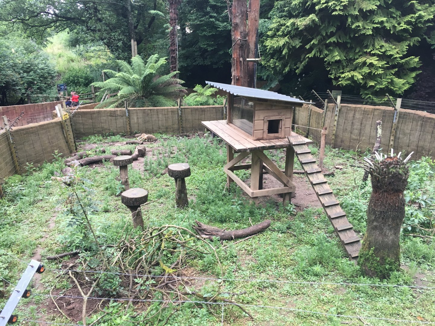Coati enclosure 300617