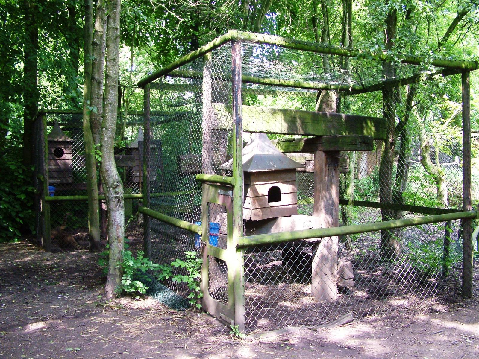 Coati Enclosure at De Paay, 02/06/12