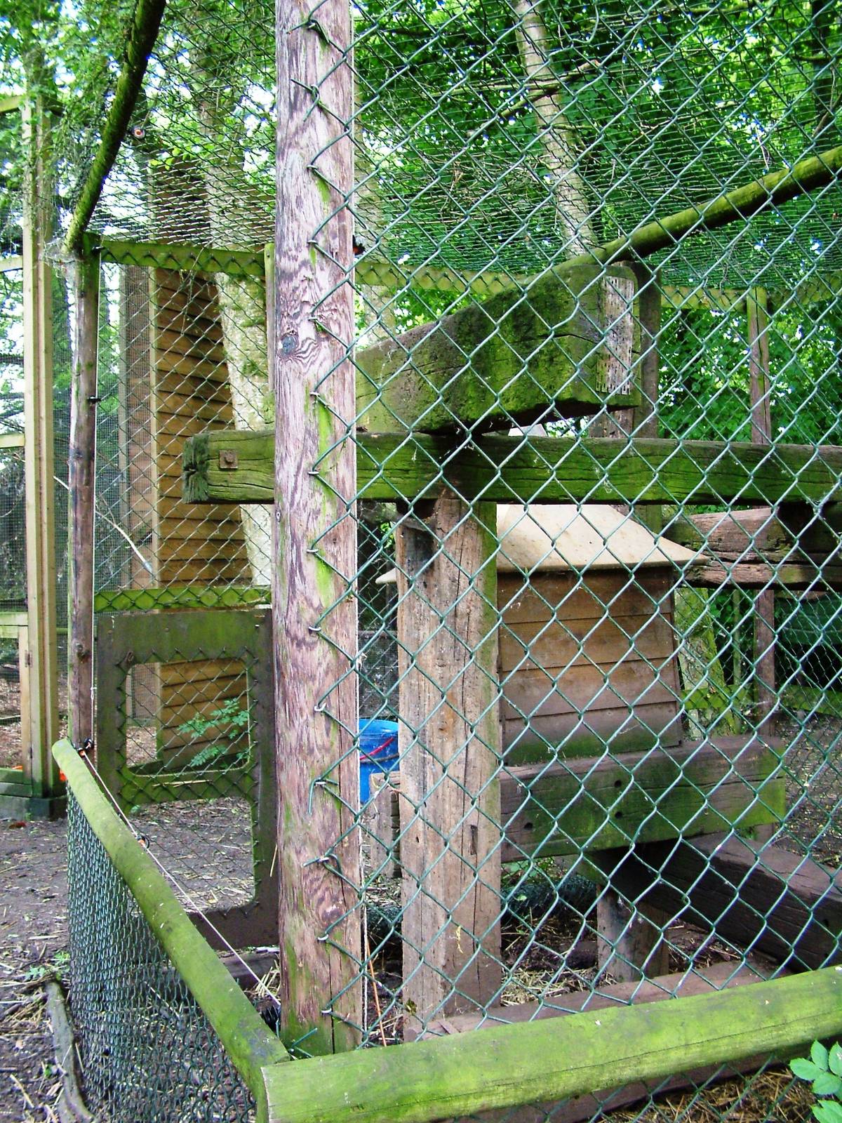 Coati Enclosure at De Paay, 02/06/12