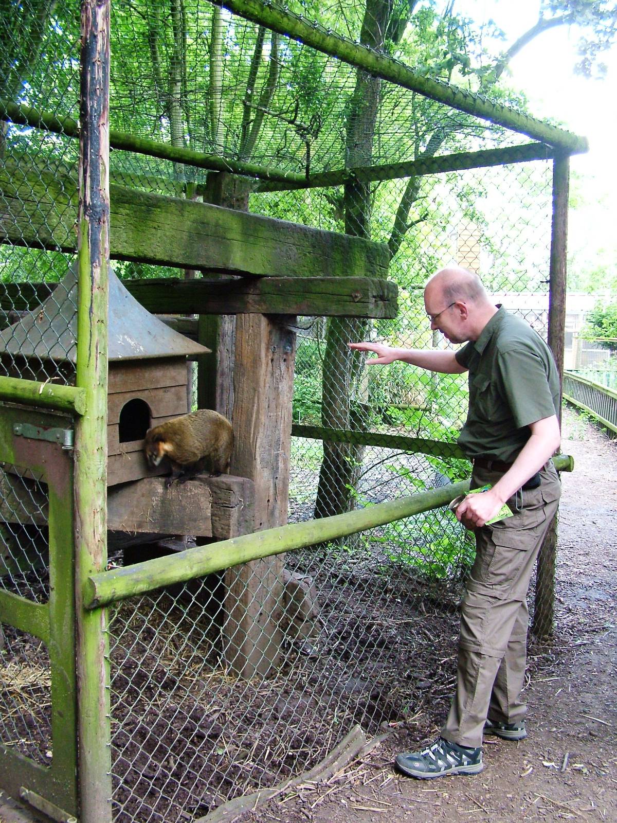 Coati Enclosure at De Paay, 02/06/12