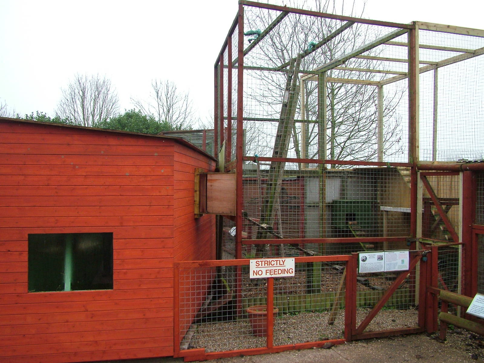 Coati enclosure at Gentleshaw Nov 08