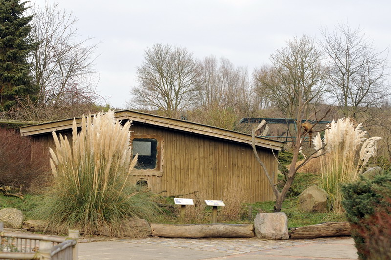 Coati enclosure at grömitz