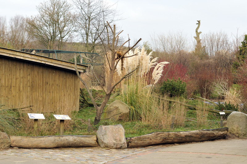 Coati enclosure at grömitz