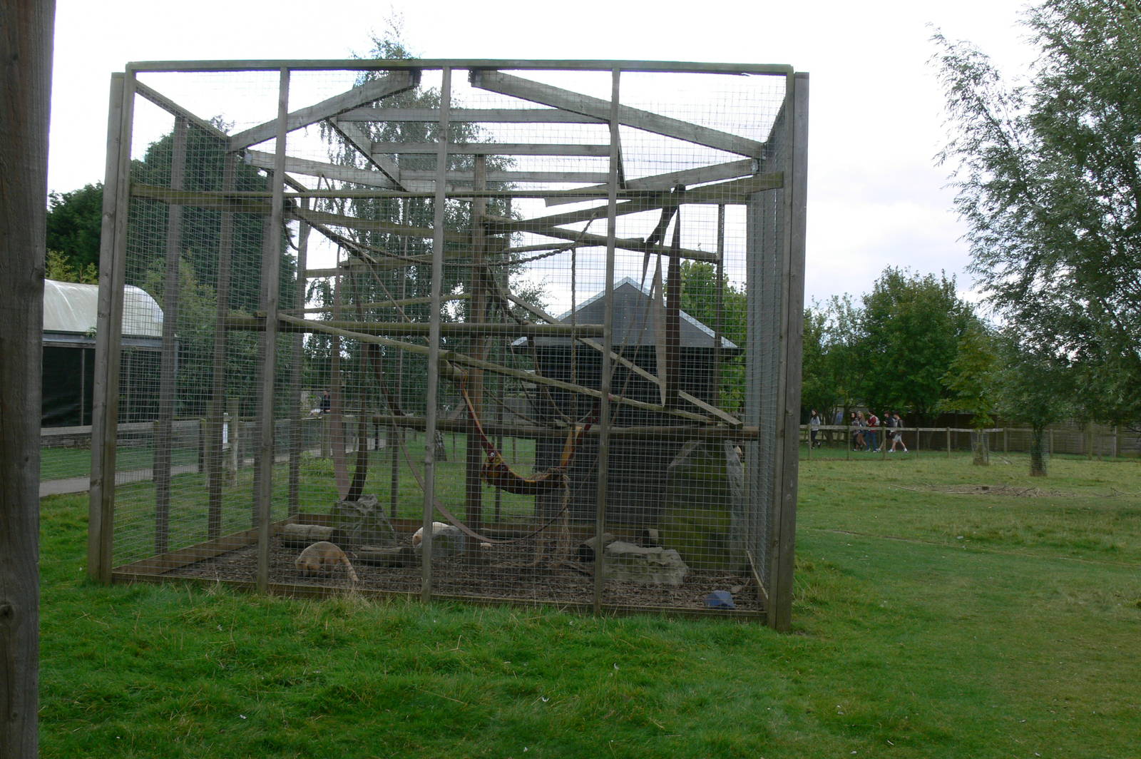 Coati Enclosure at Hamerton Zoo, 23/08/14