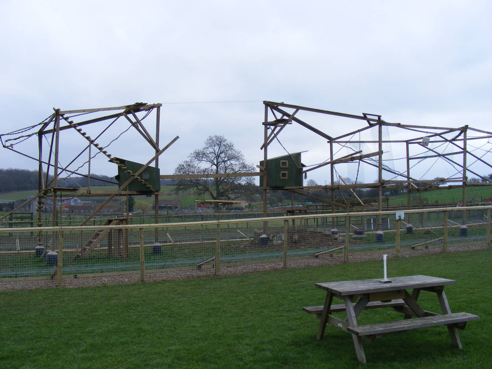 Coati enclosure at Noah's Ark Zoo Farm, 5 March 2011