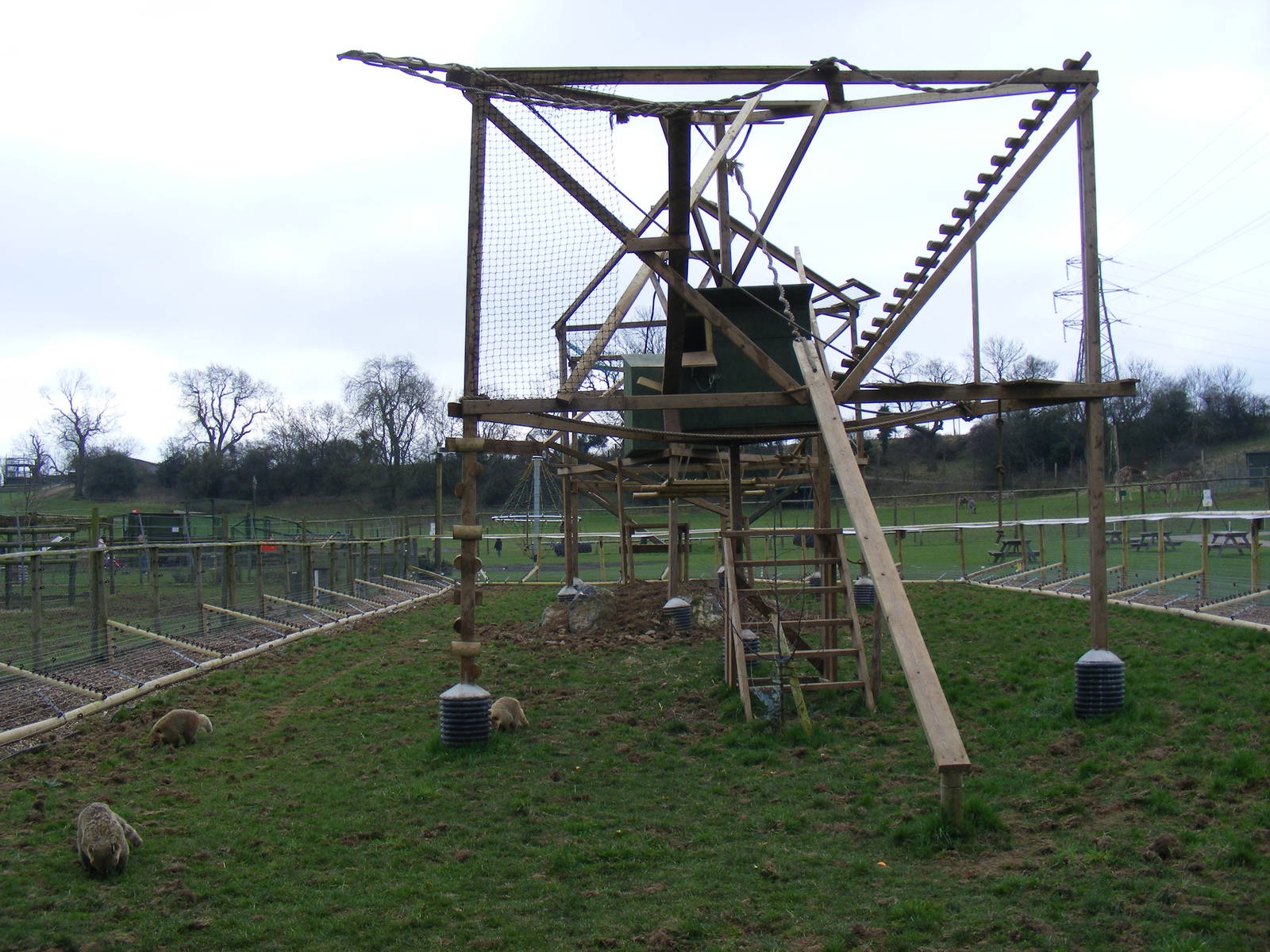 Coati enclosure at Noah's Ark Zoo Farm, 5 March 2011