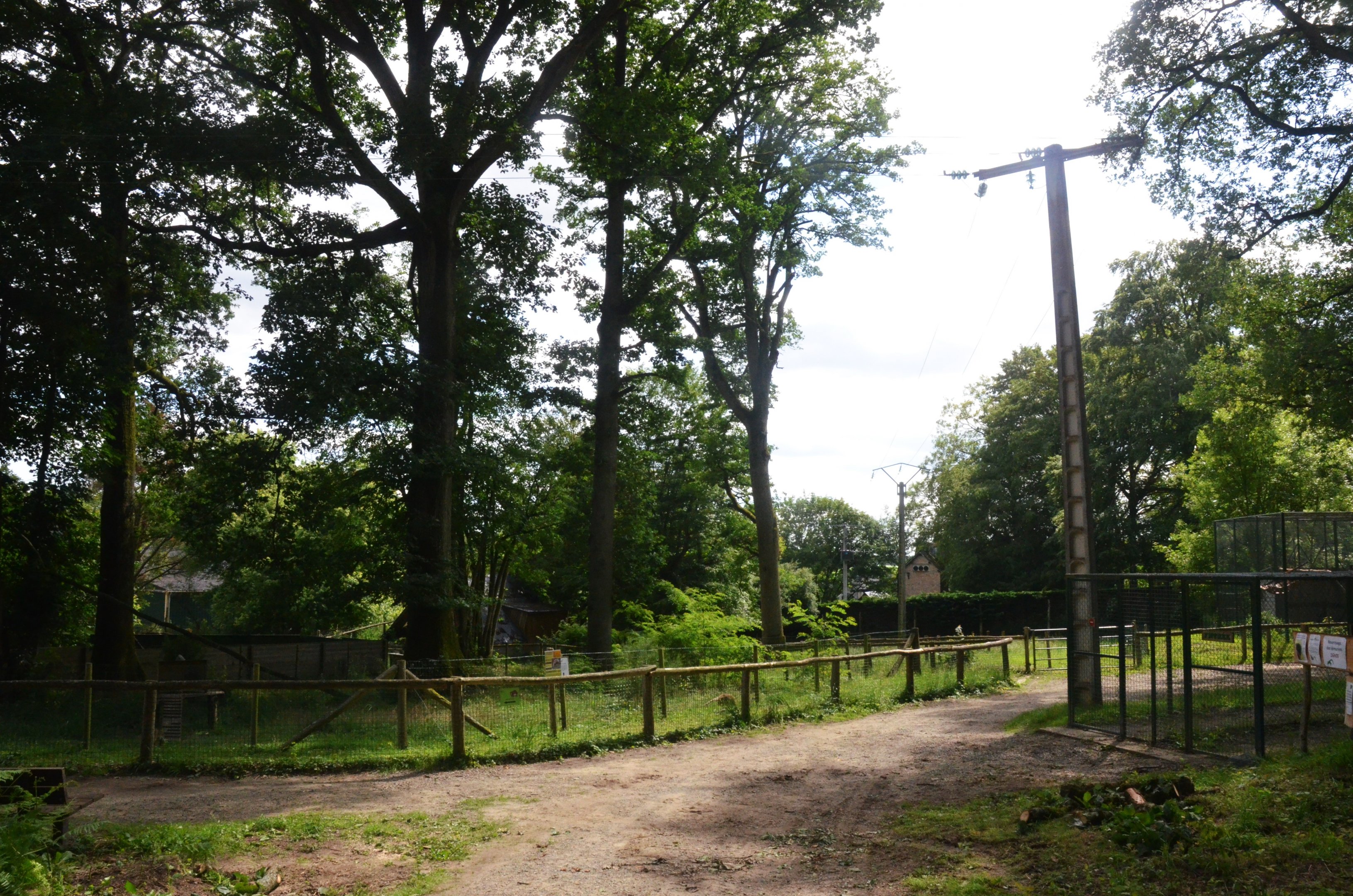 Coati Enclosure at Pescheray, 13/06/18