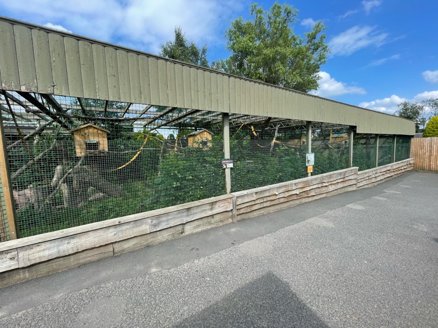 Coati Enclosure at Ponderosa Zoo (July 2021)