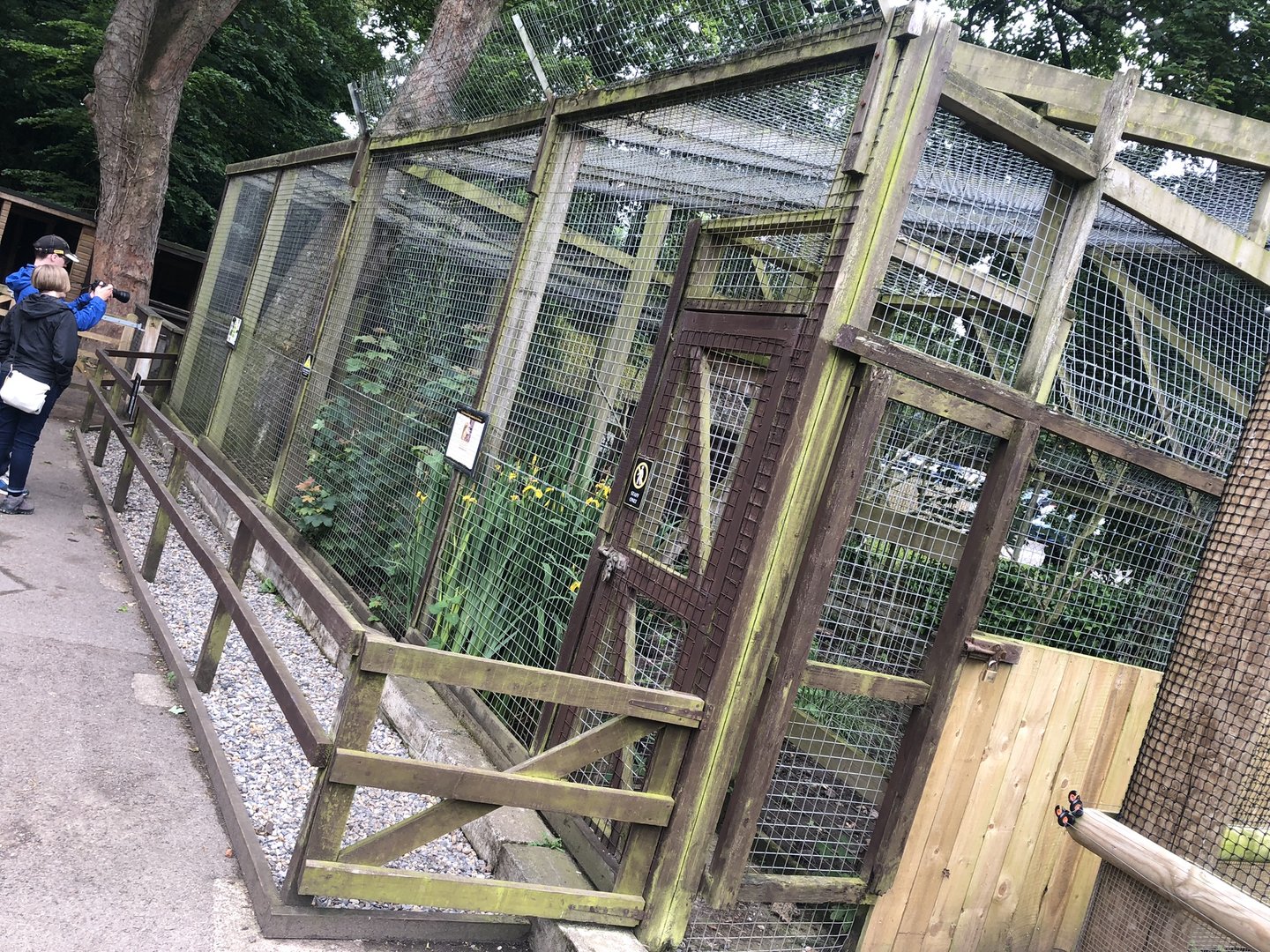 Coati Enclosure at Sewerby Zoo (June 2023)