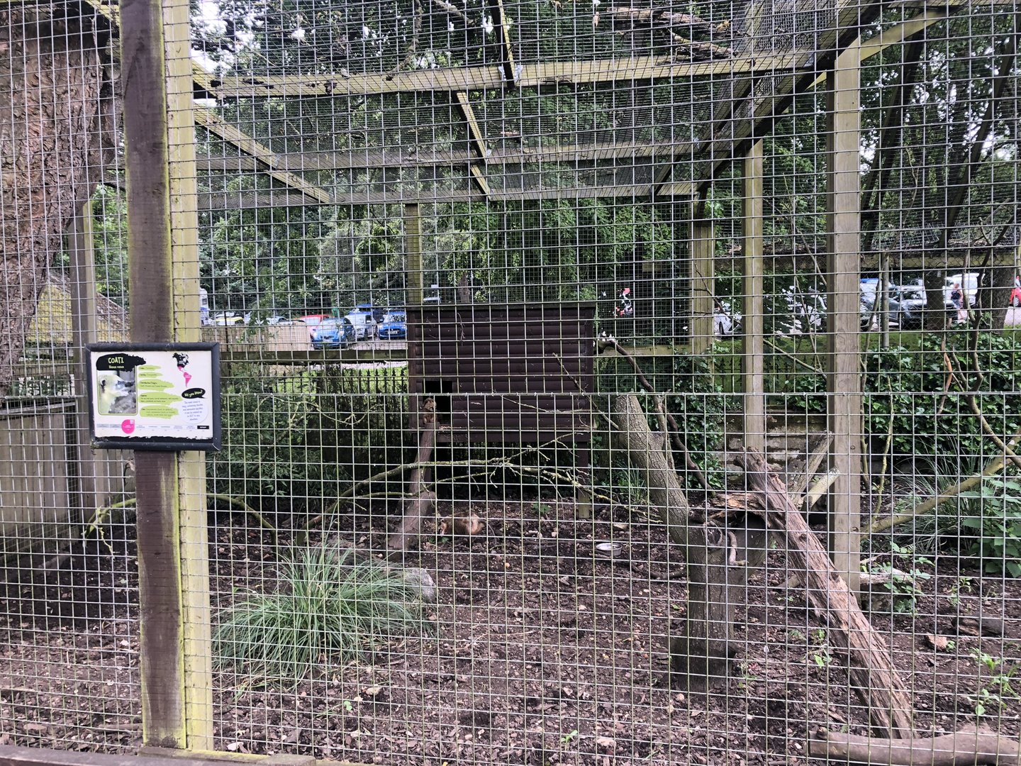 Coati Enclosure at Sewerby Zoo (June 2023)