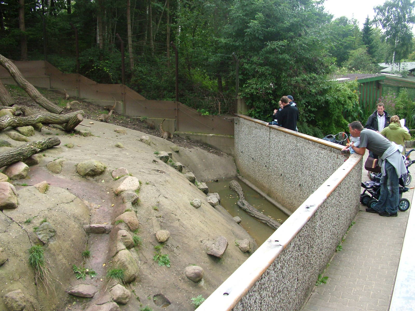 Coati enclosure at Wildpark Lueneberger Heide 2007