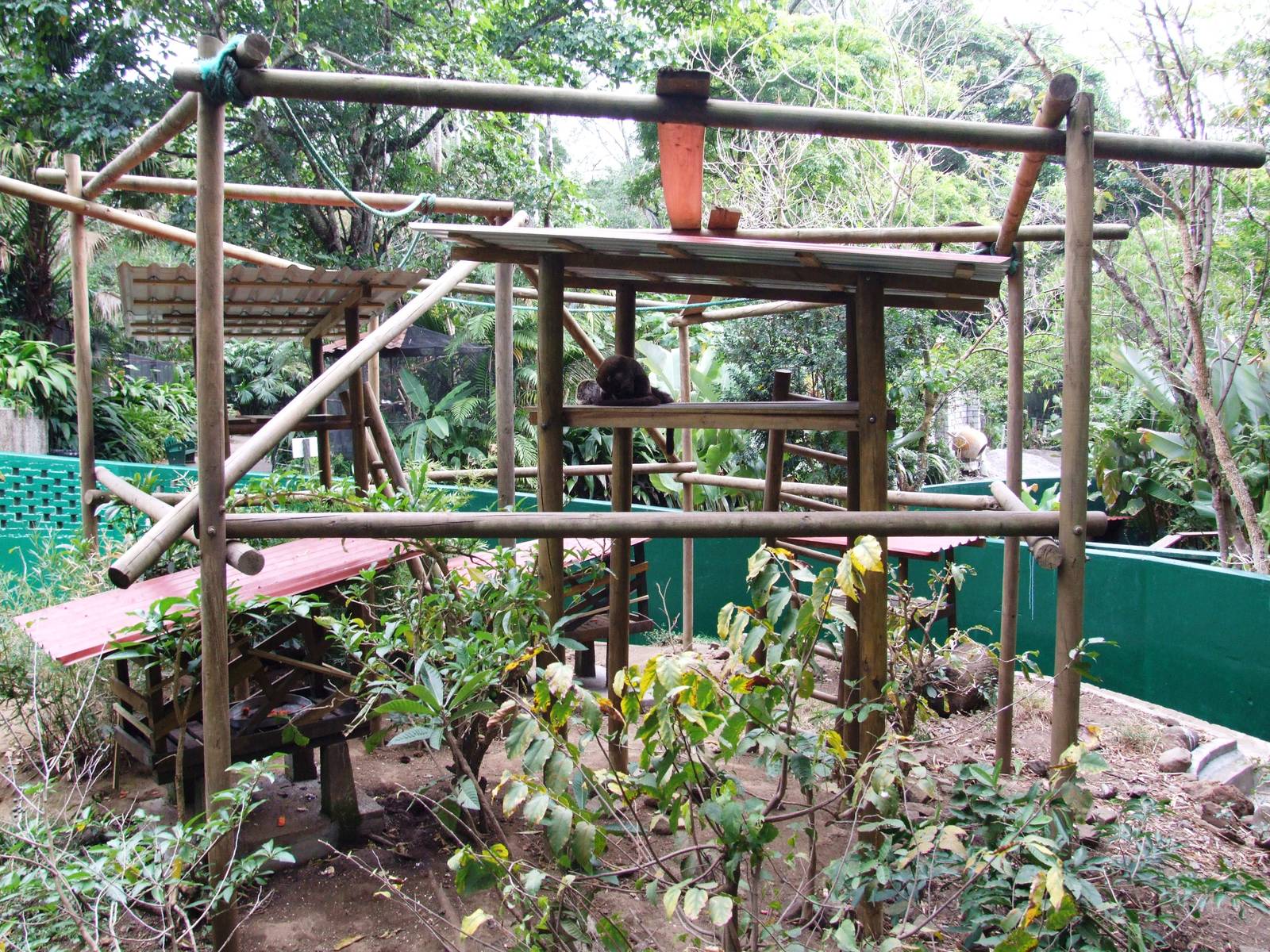 Coati Enclosure at Zoo Simon Bolivar, 12/04/14