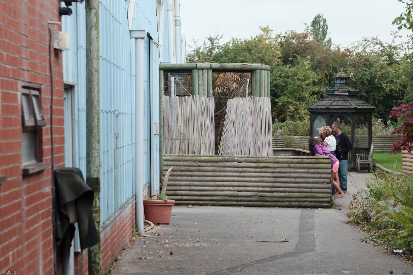 Coati Enclosure - Closing Day - 05/09/2010