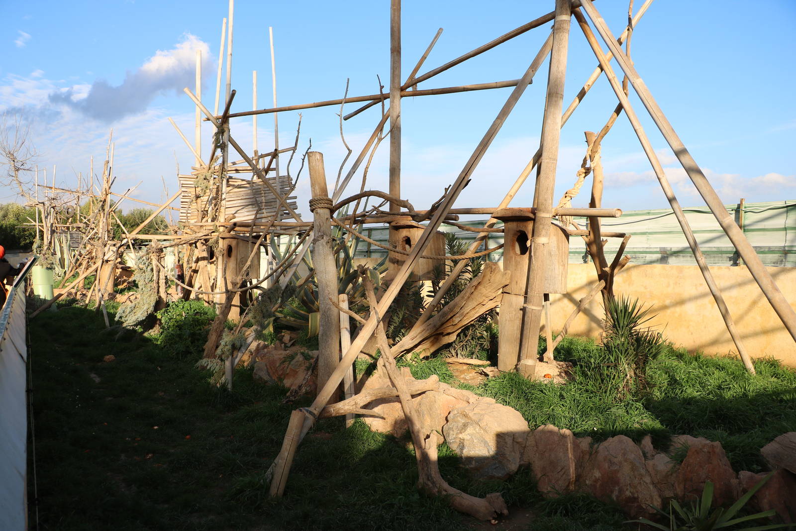 Coati enclosure, February 2016