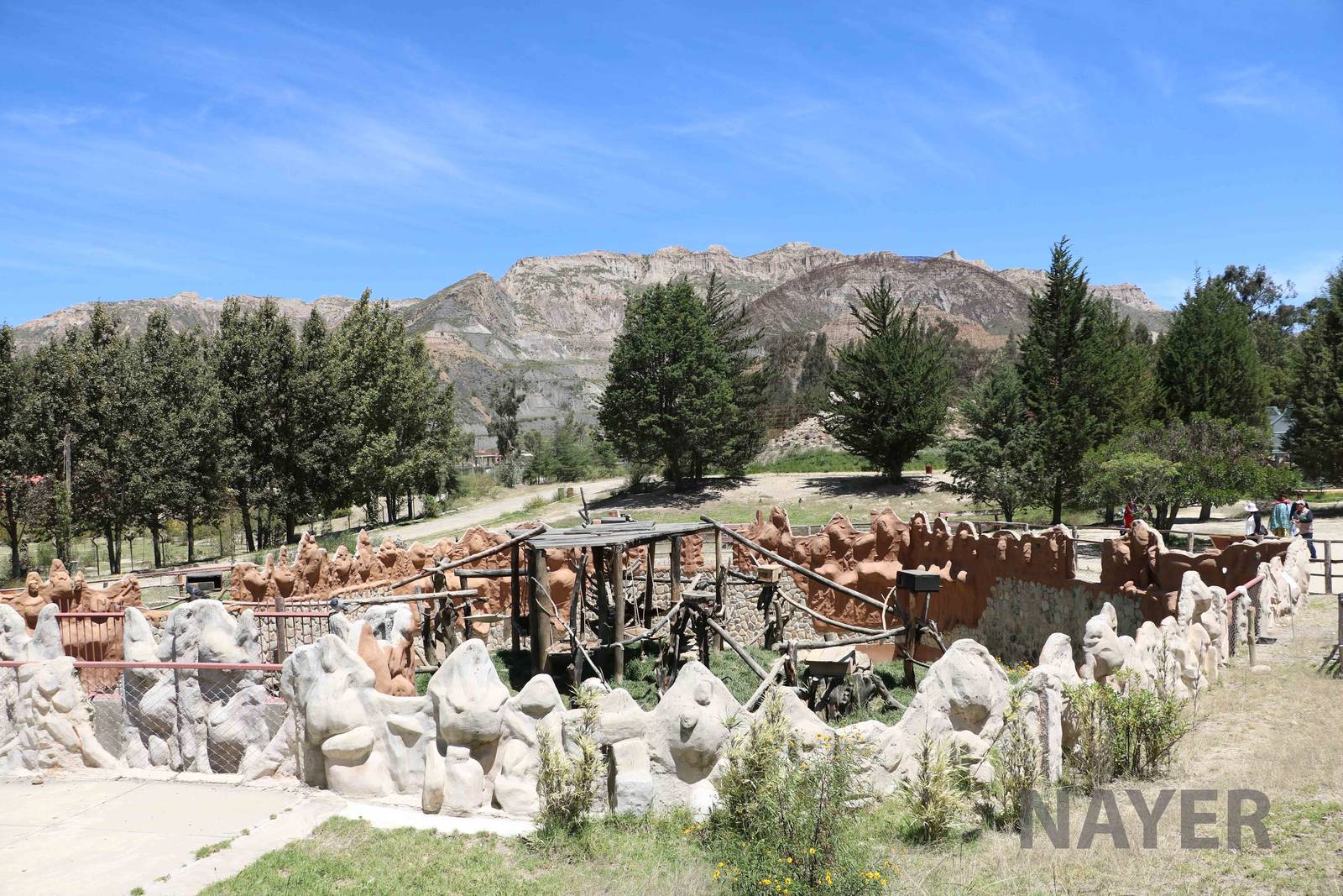 Coati enclosure, March 2016