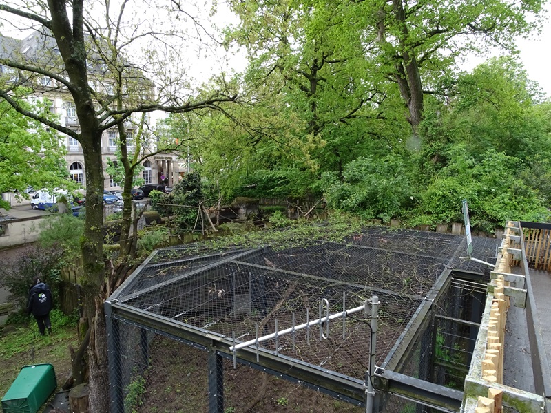 Coati enclosure (seperation cage)