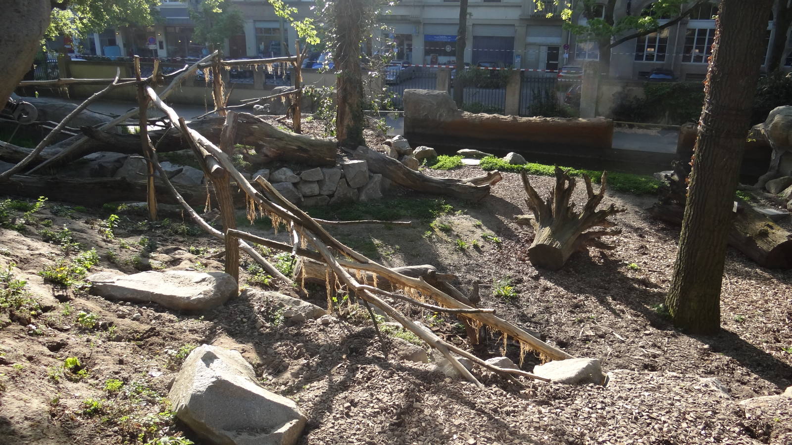 Coati enclosure - Zoo Karlsruhe