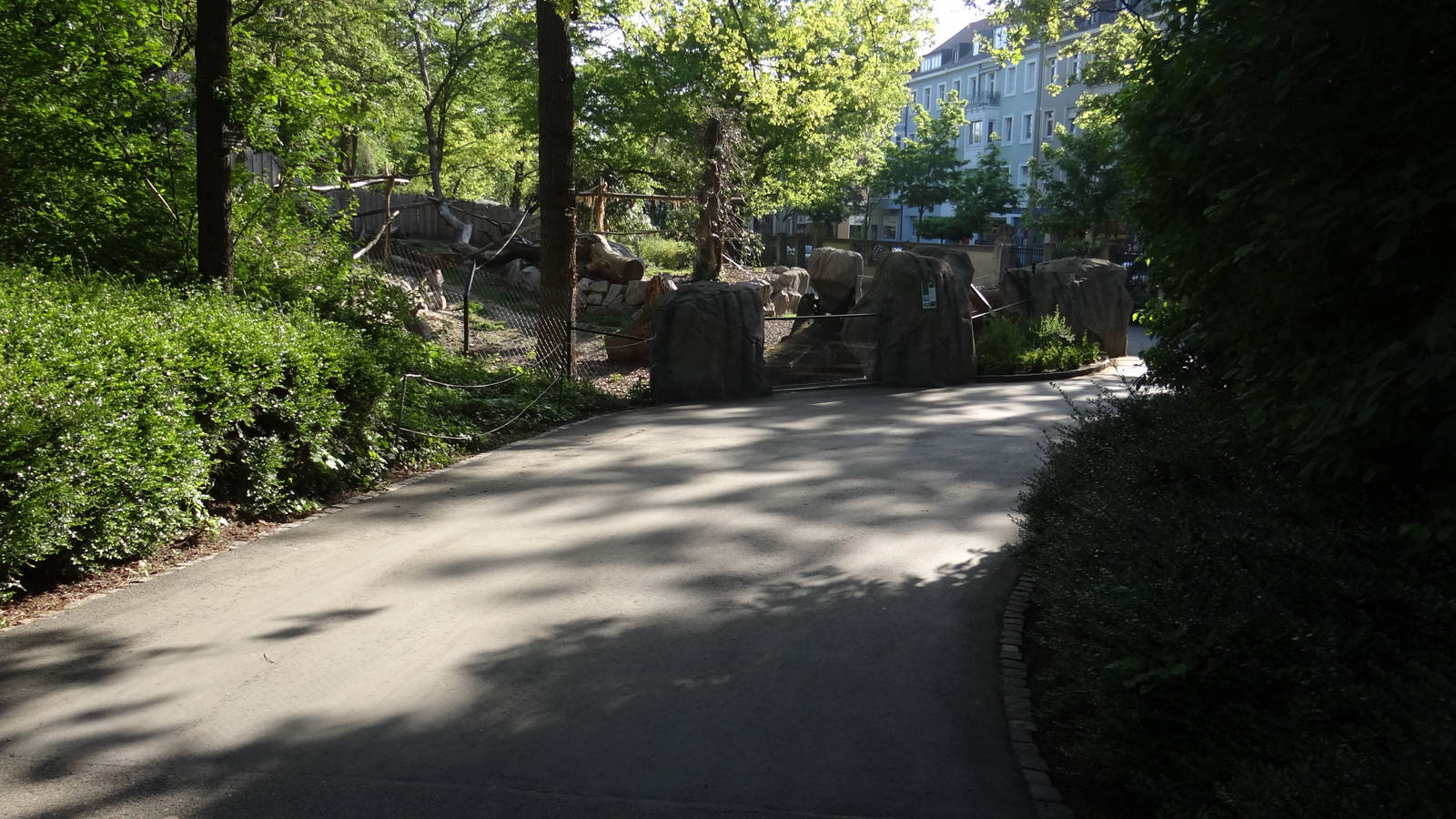 Coati enclosure - Zoo Karlsruhe