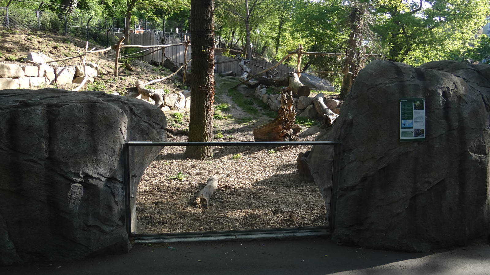 Coati enclosure - Zoo Karlsruhe
