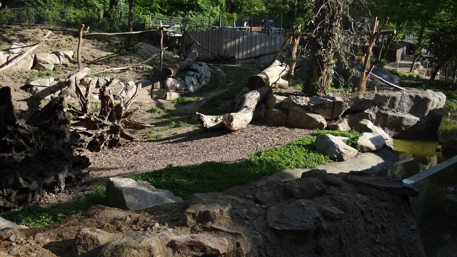 Coati enclosure - Zoo Karlsruhe