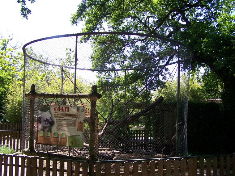 coati enclosure