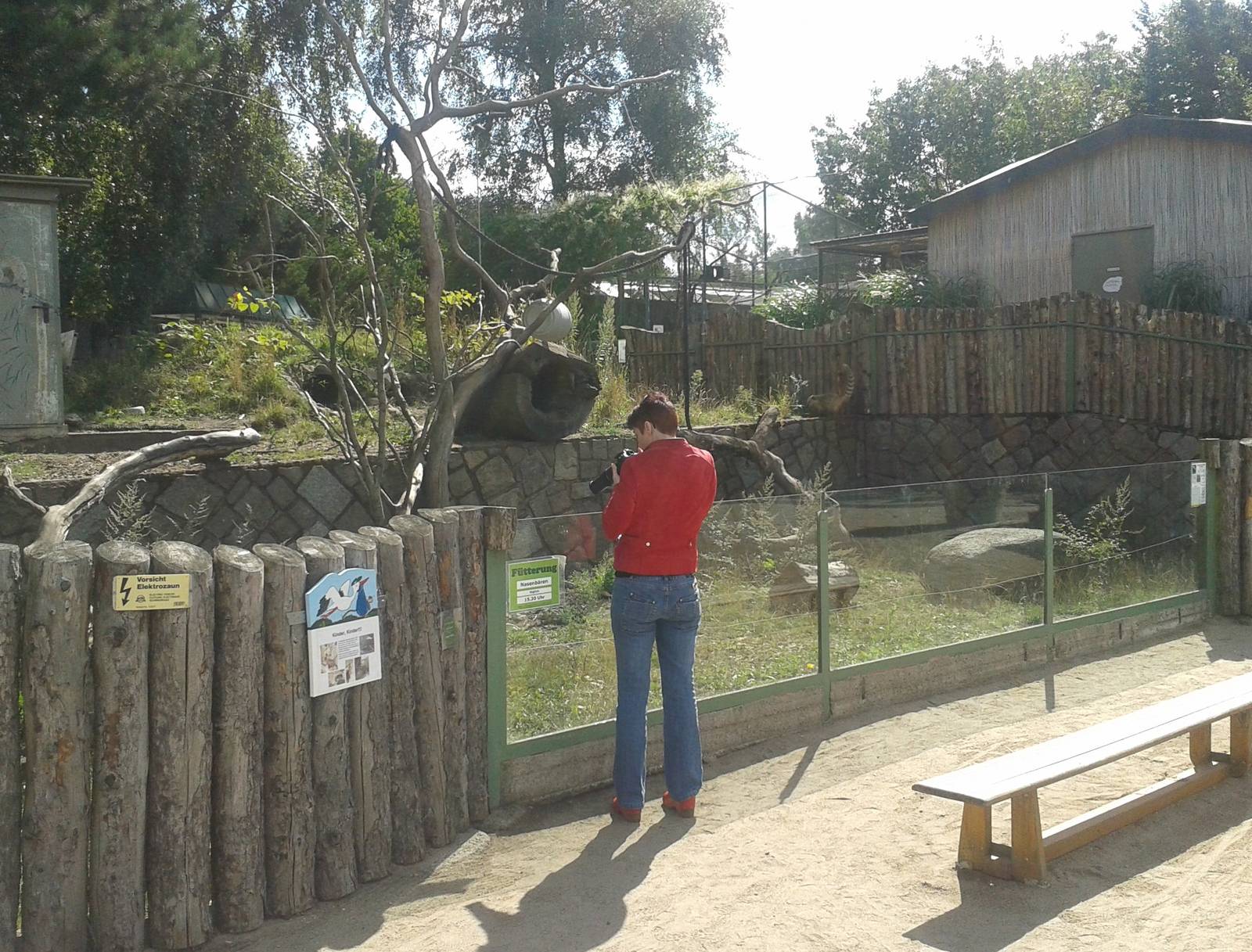 Coati-enclosure