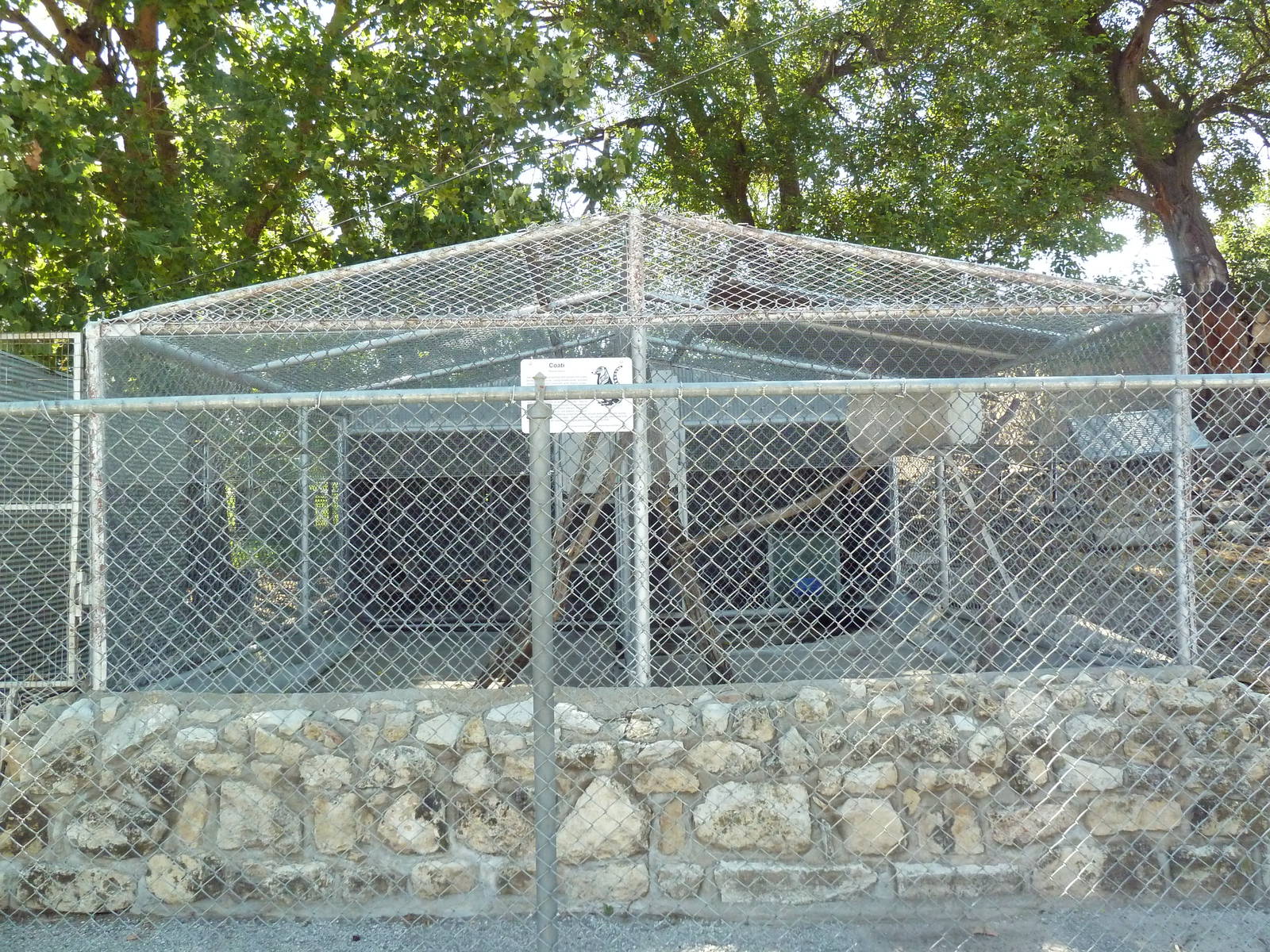 Coati Enclosure
