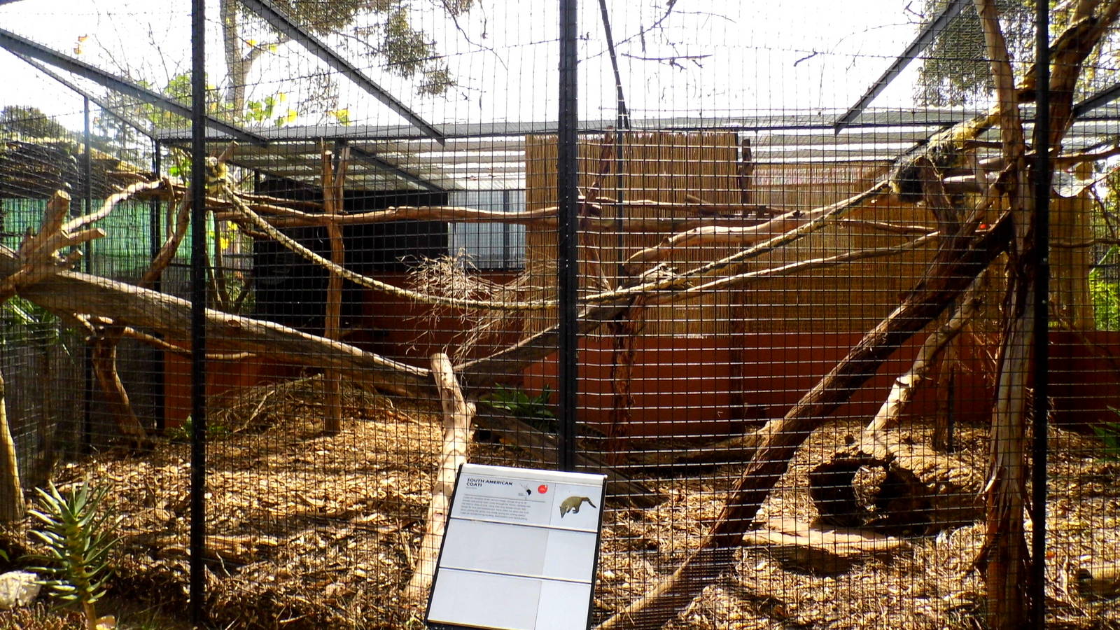 Coati Enclosure