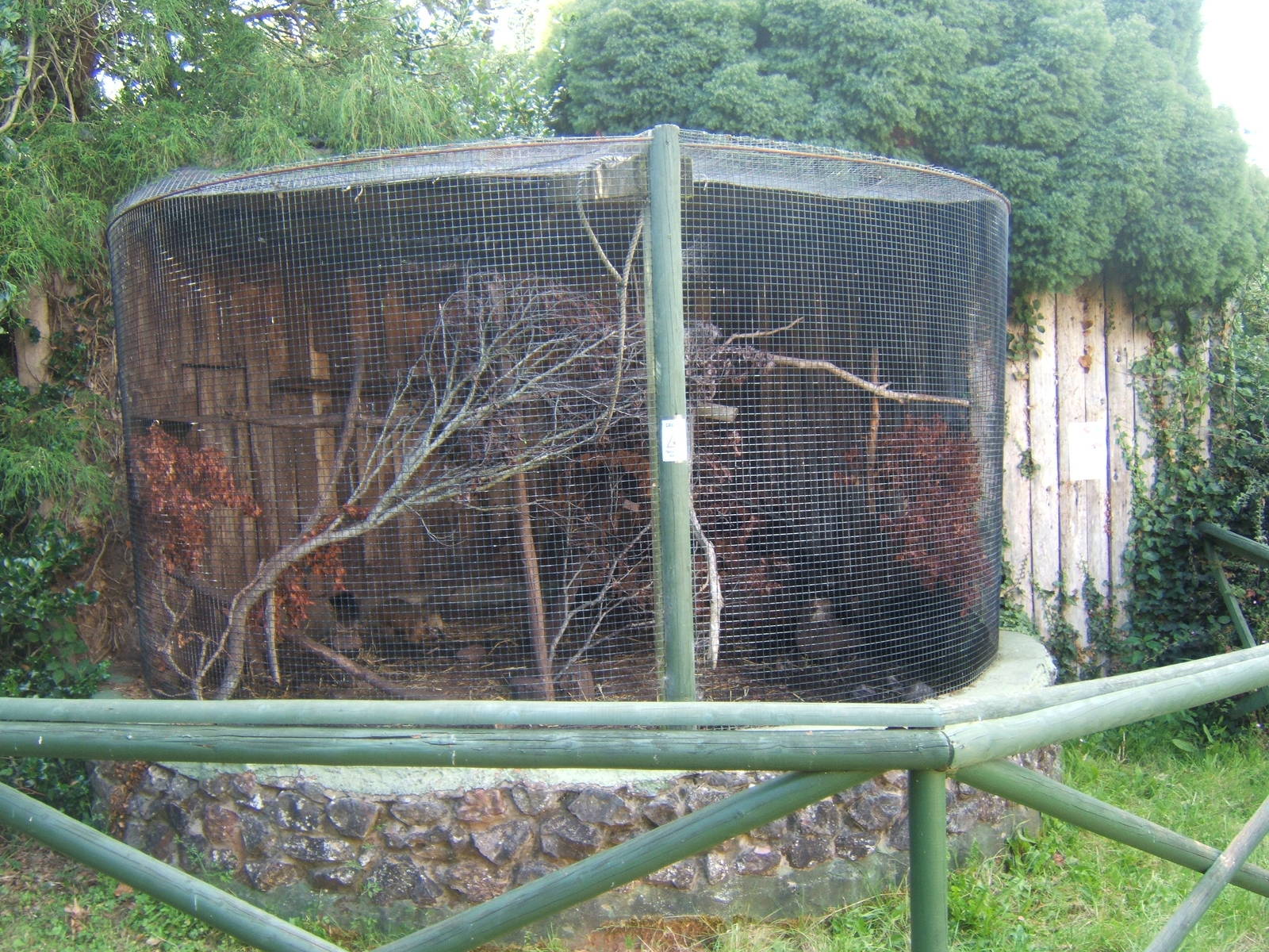Coati enclosure
