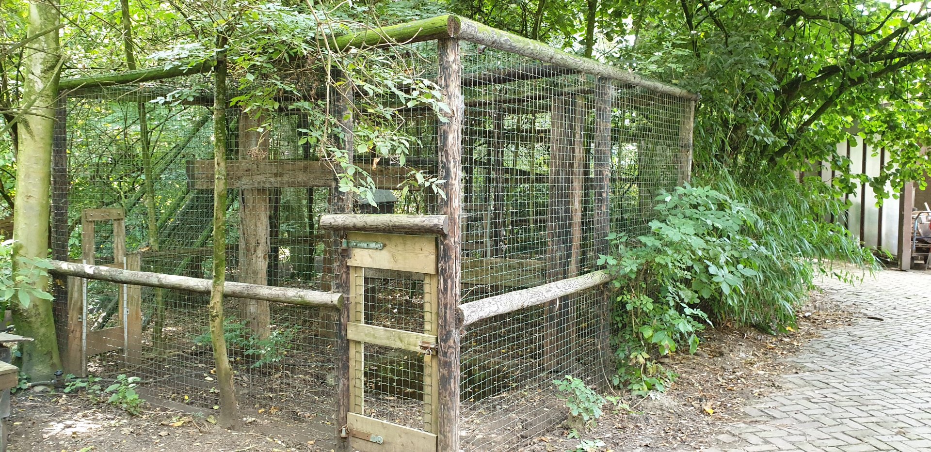 Coati enclosure