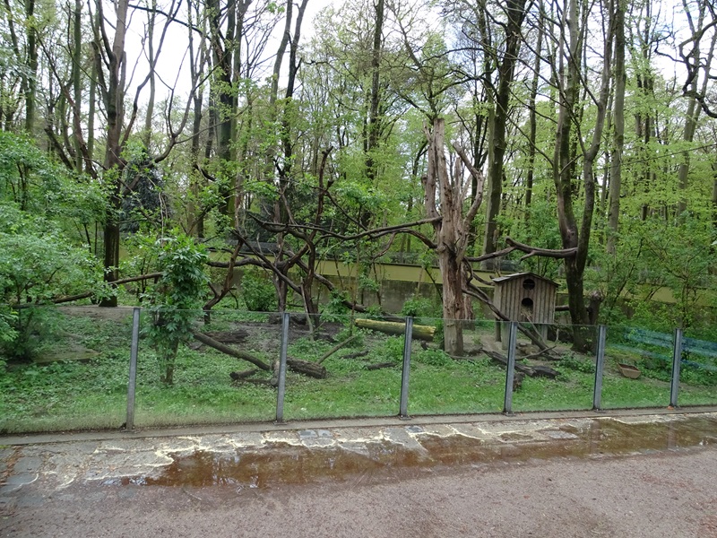 Coati enclosure