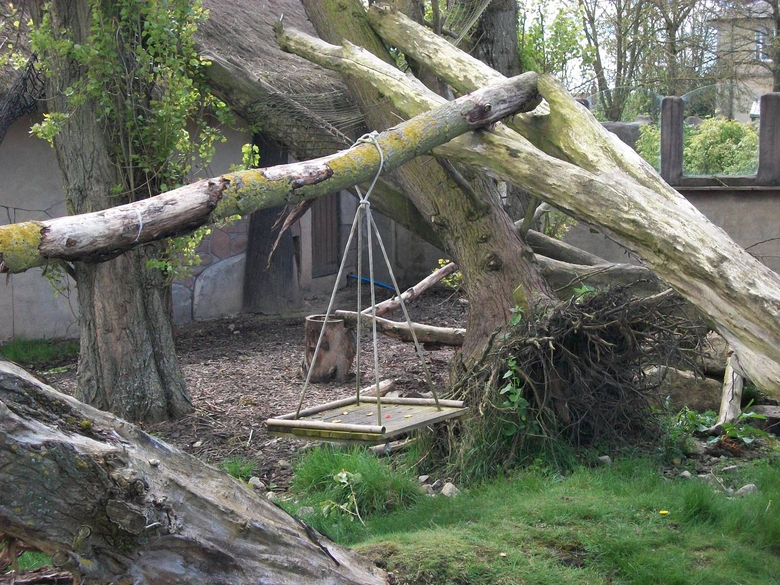 Coati enrichment, 6th May 2014