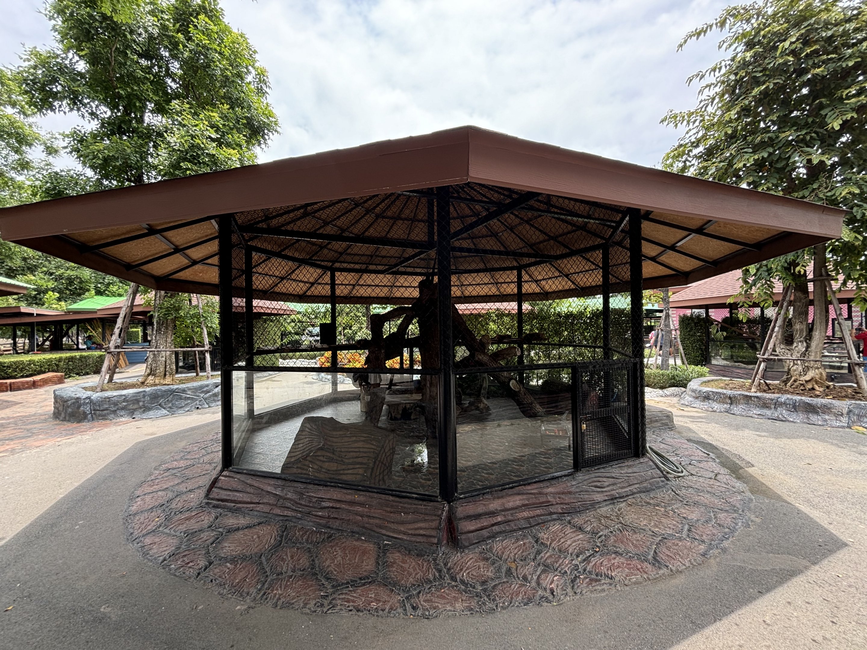 Coati Exhibit #1 - Lion Park