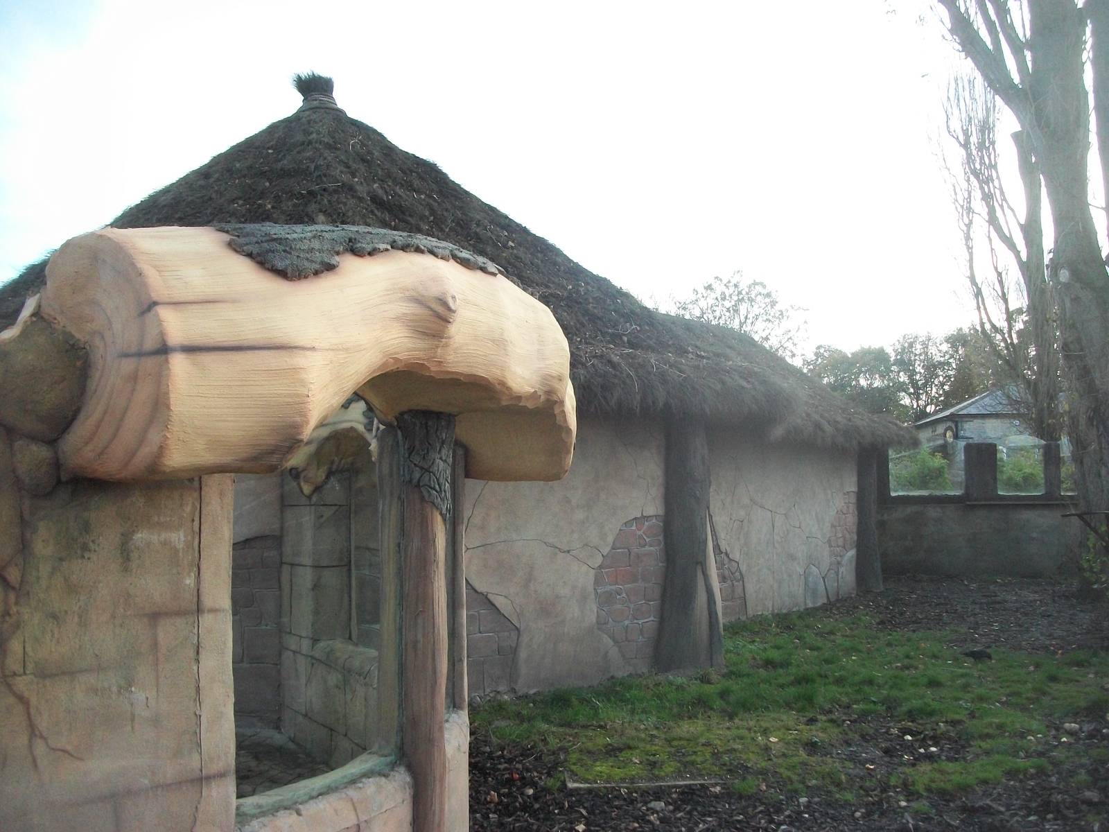 Coati exhibit 1st November 2012